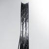Aluminum Wheelset